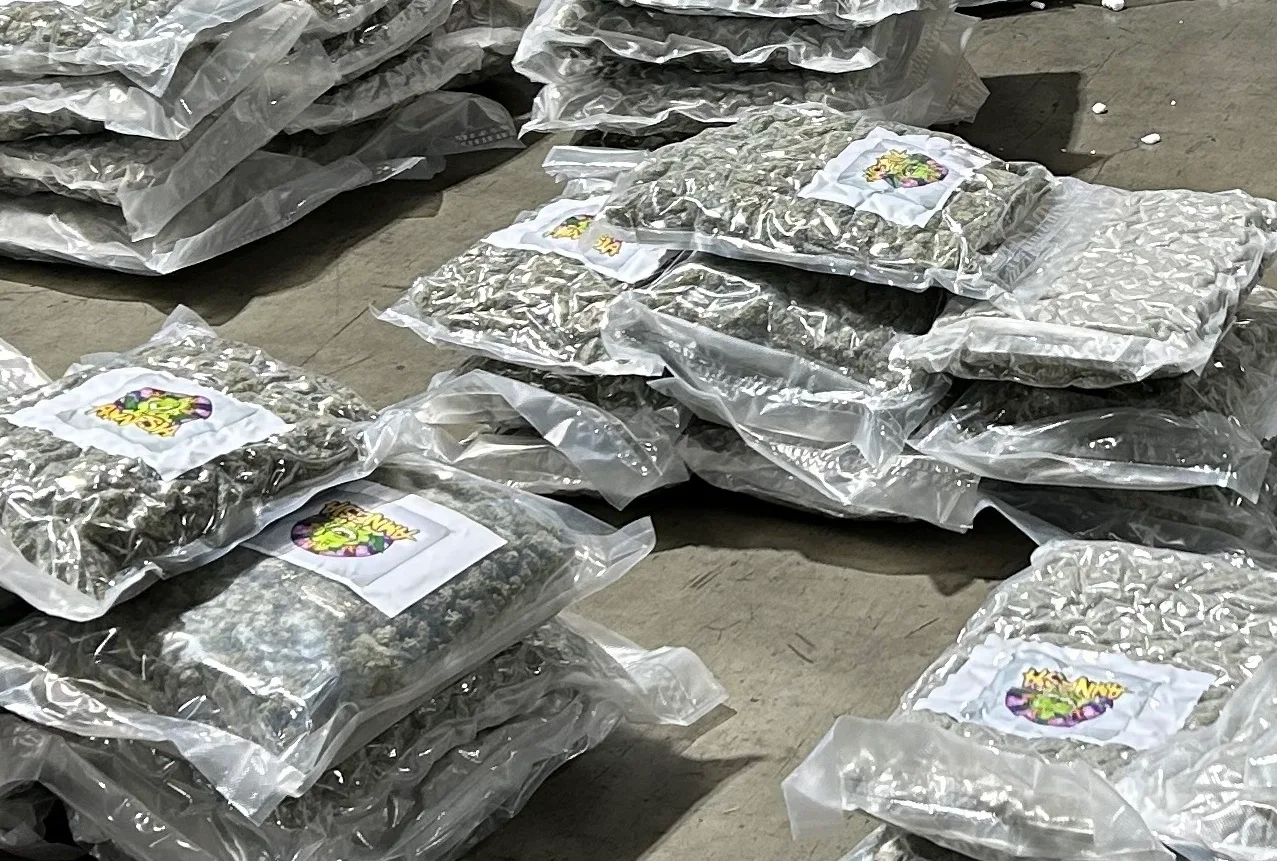 Frankfurt Havalimanı'nda Yolcu Veri Analizi Sayesinde 36 Kilo Esrar Ele Geçirildi