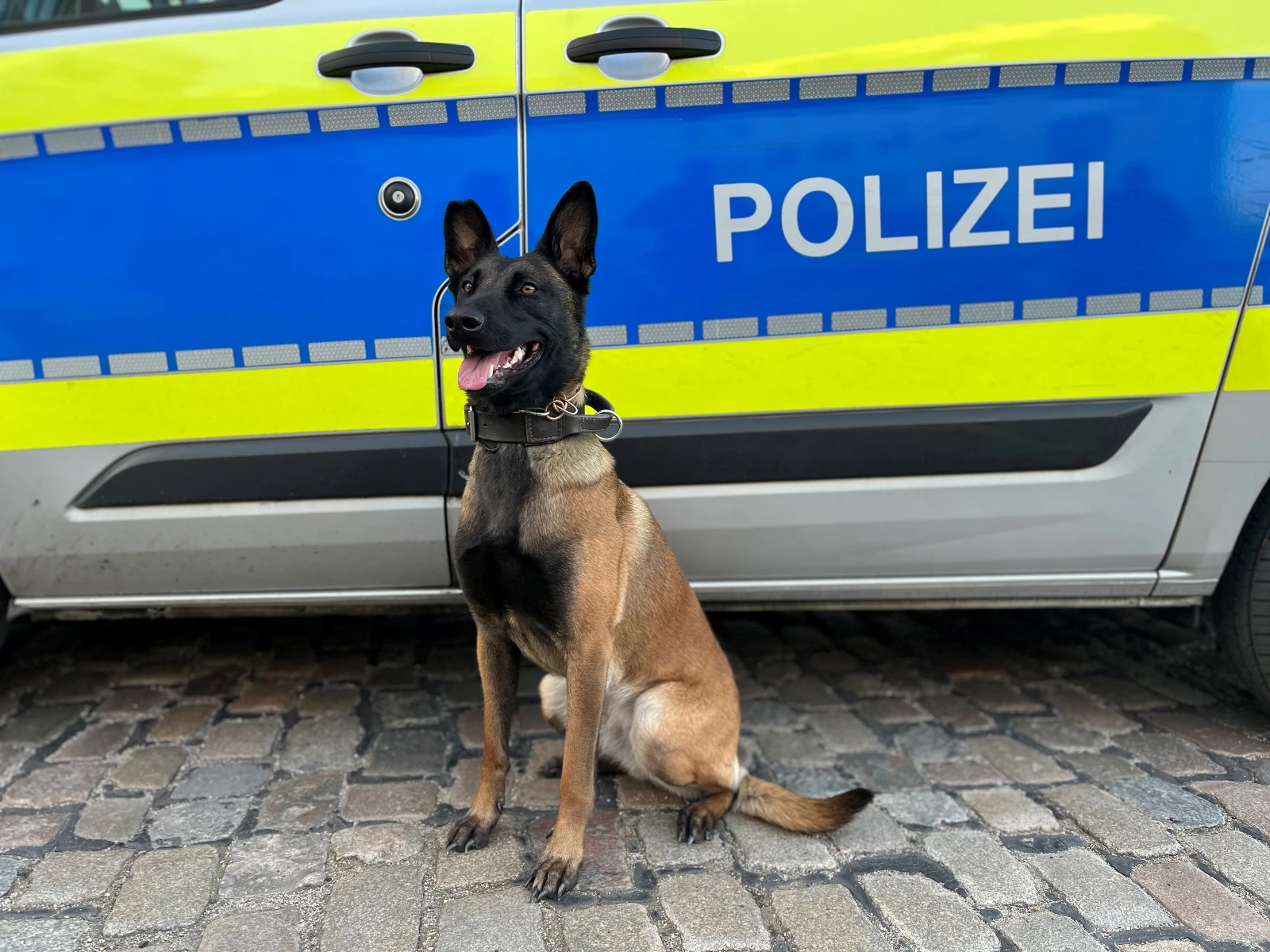 Hamburg'da Depo Soygunu: 7 Şüpheli Yakalandı