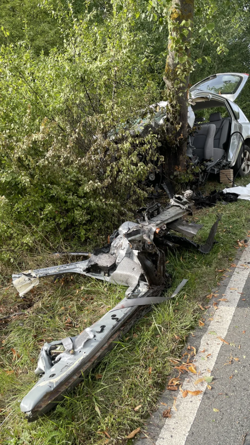 Lehrte'de Ağaca Çarpan Otomobilin Sürücüsü Hayatını Kaybetti