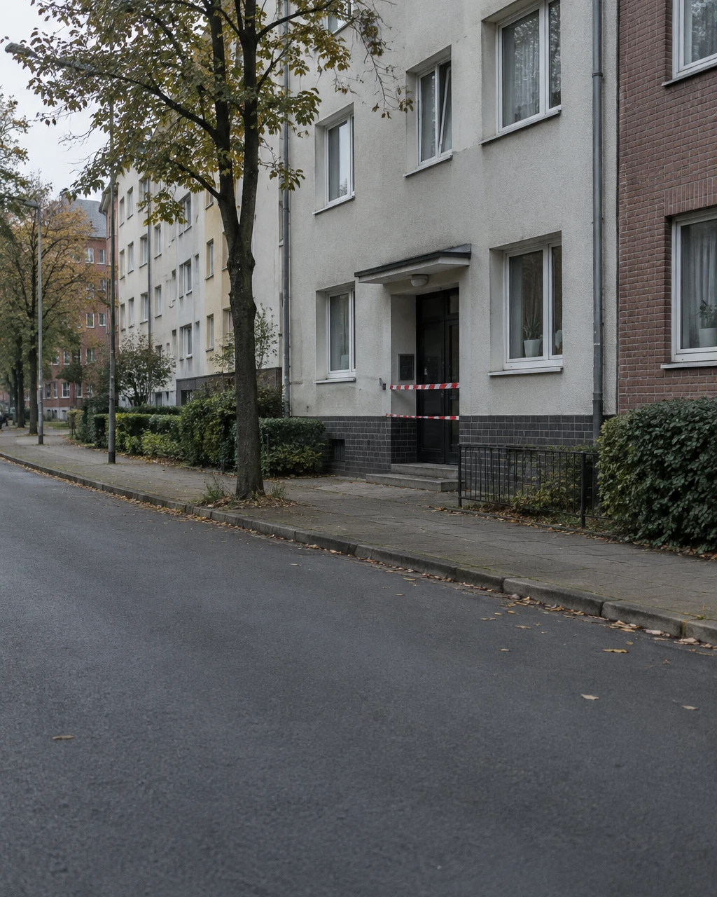 Hamburg'da Afgan Şüpheli Kadını Boğmakla Suçlanıyor